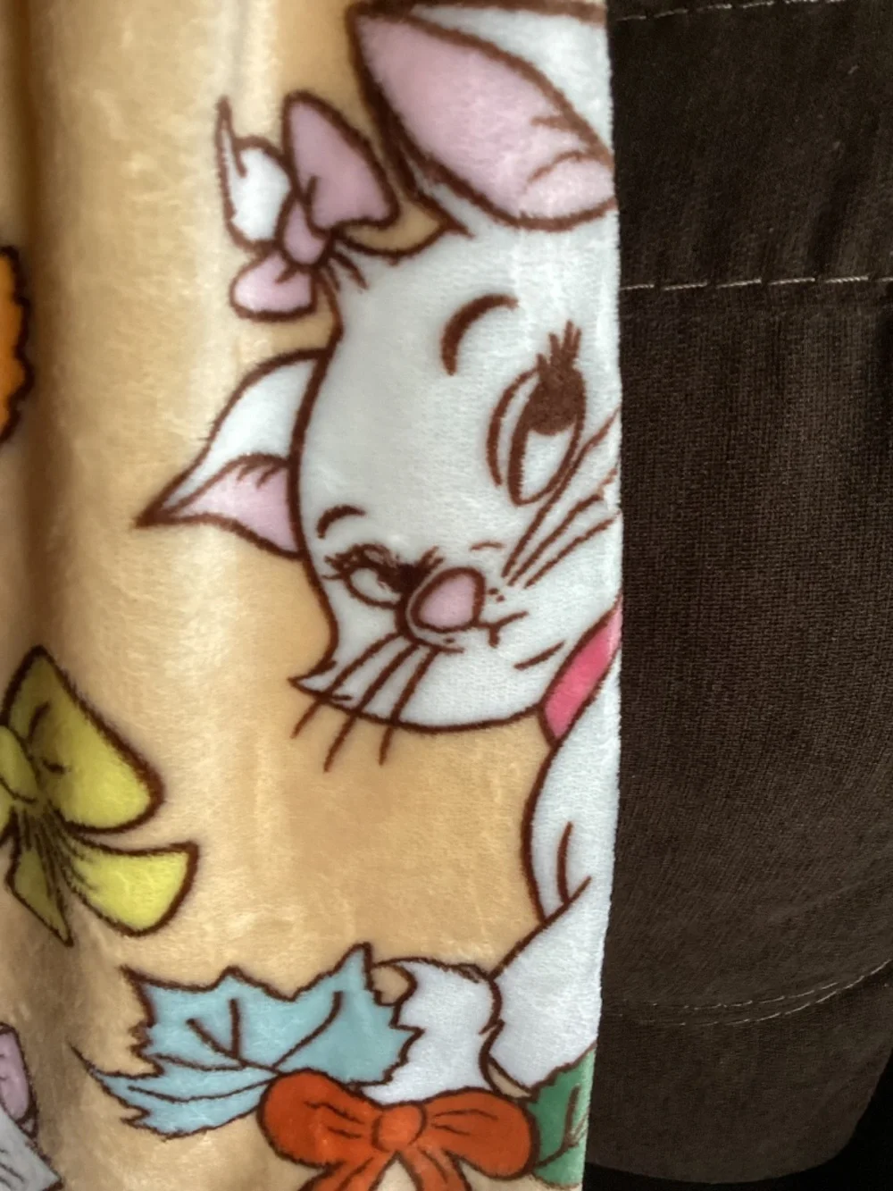 New Disney Aristocats Fall Throw